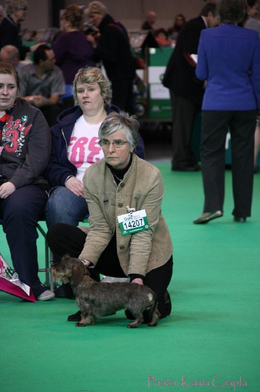 Crufts2011_2 696.jpg